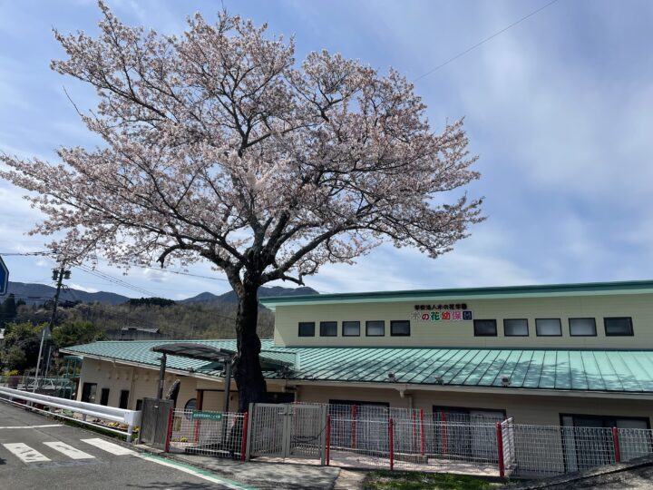学校法人木の花学園